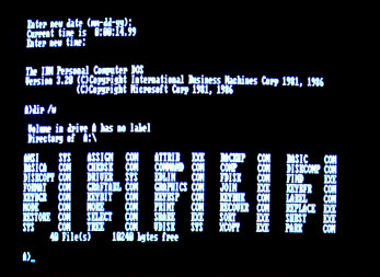 IBM PC Dos Screen